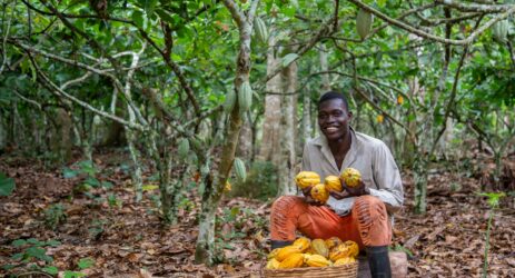 prezzo cacao