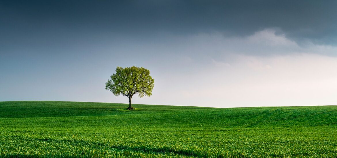 Biodiversità