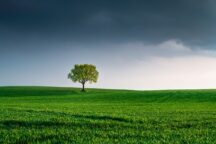 Biodiversità