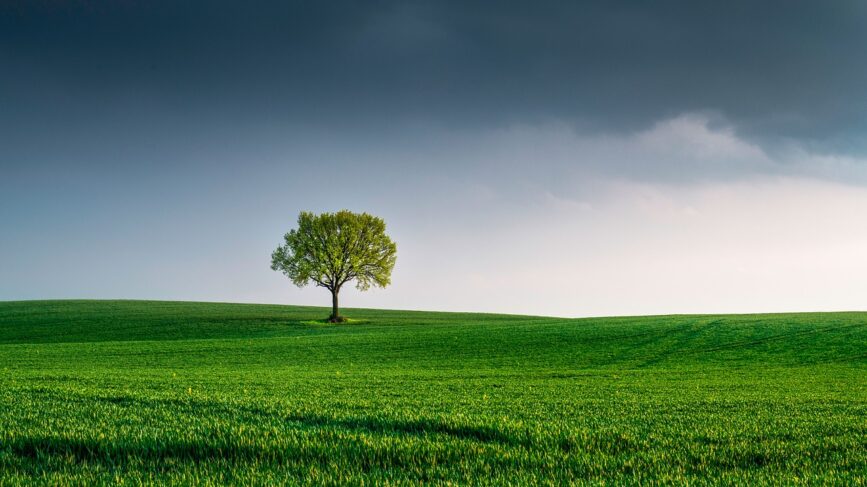 Biodiversità