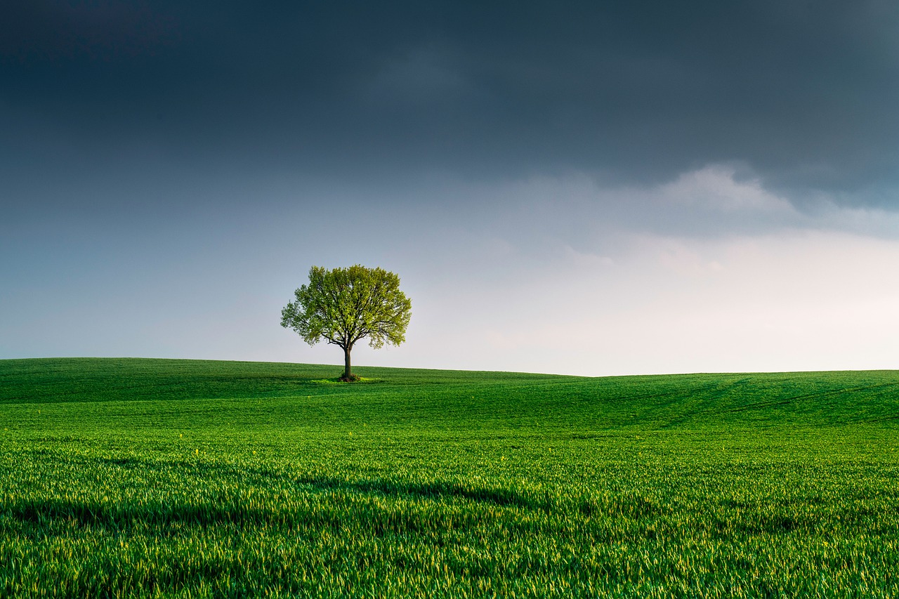 biodiversità