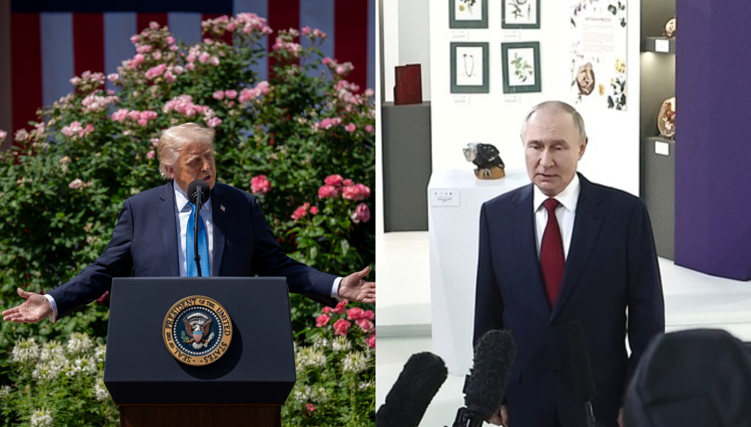 trump e putin