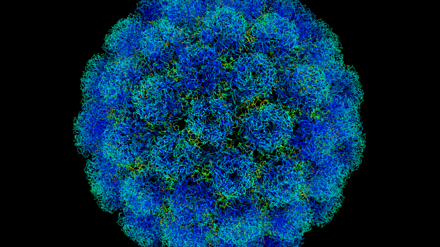 Virus Respiratorio Sinciziale