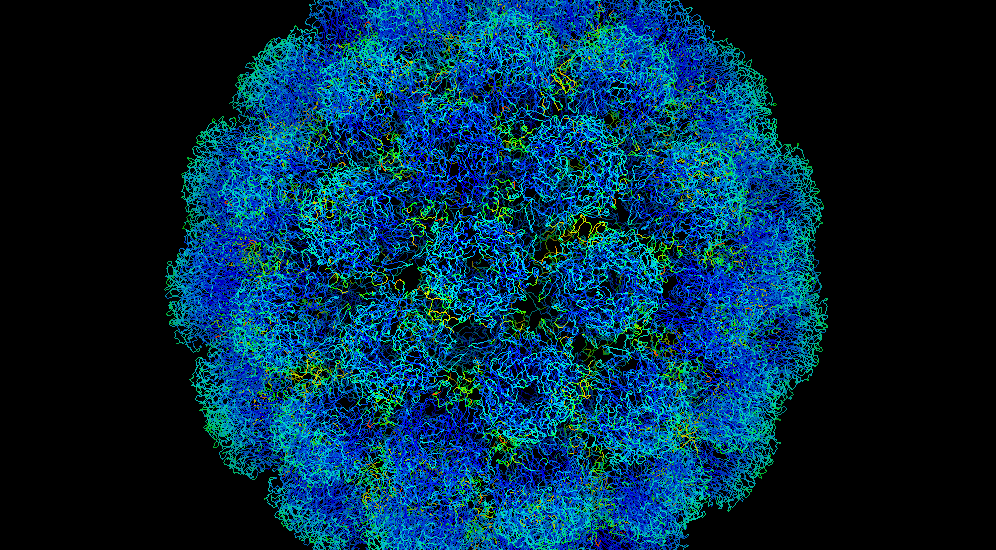 Virus Respiratorio Sinciziale