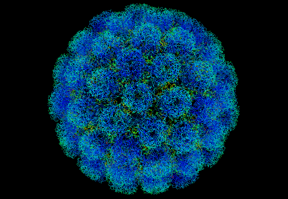 virus respiratorio sinciziale