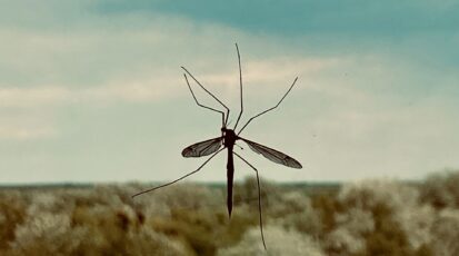 esperti west nile