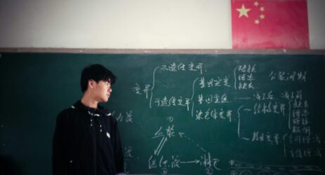 cina stem