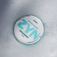 zyn bustine nicotina